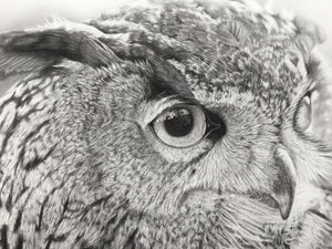 "Owl See You Later" Print series 2